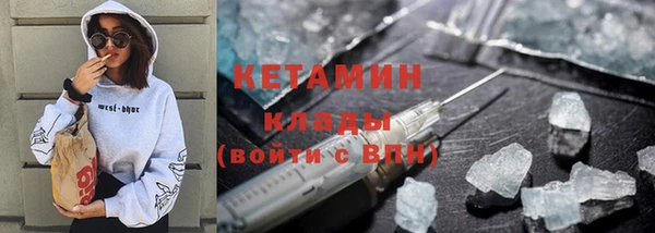 шишки Кодинск