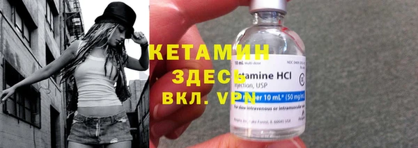 шишки Кодинск