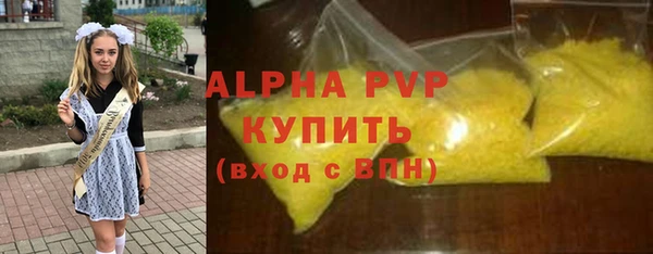 шишки Кодинск