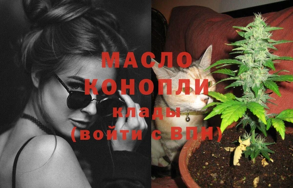 шишки Кодинск