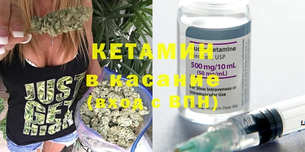 шишки Кодинск