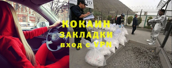 шишки Кодинск