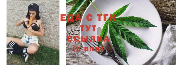 шишки Кодинск