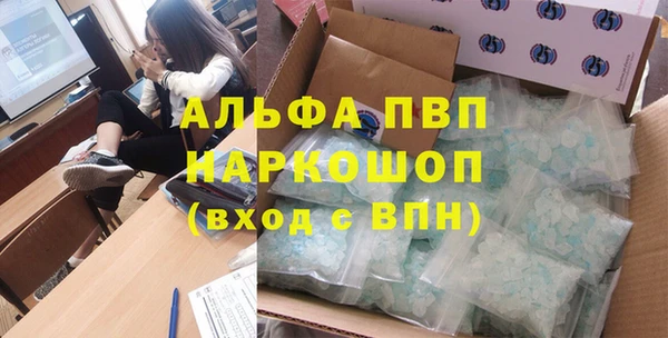 шишки Кодинск