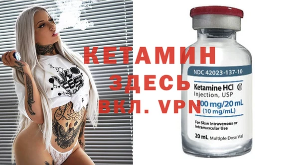 шишки Кодинск