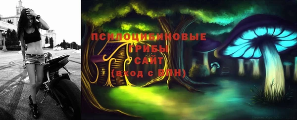 гидра Козельск
