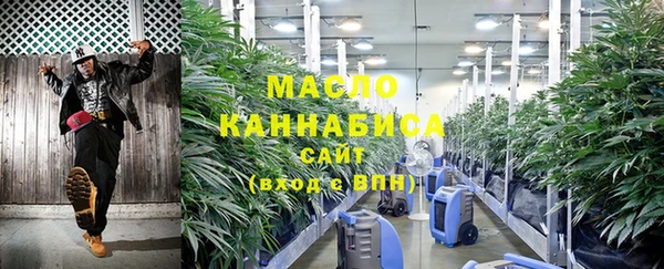 ПСИЛОЦИБИНОВЫЕ ГРИБЫ Козловка