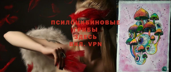 ПСИЛОЦИБИНОВЫЕ ГРИБЫ Козловка